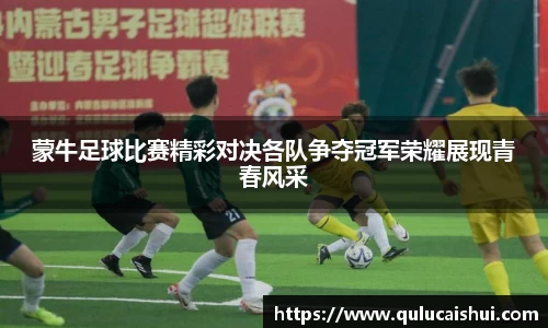 BB贝博登录入口