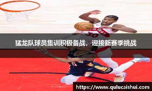 BB贝博登录入口