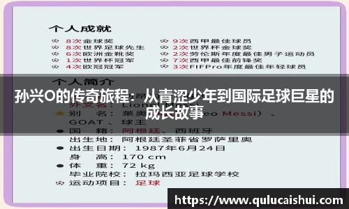 BB贝博登录入口