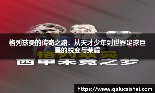 BB贝博登录入口