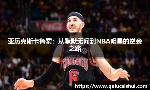 BB贝博登录入口