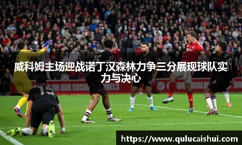 BB贝博登录入口