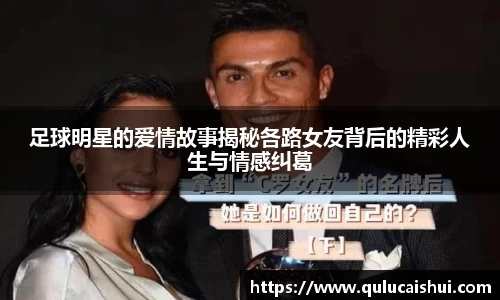 BB贝博登录入口