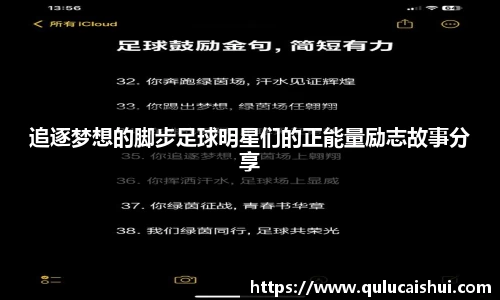 BB贝博登录入口